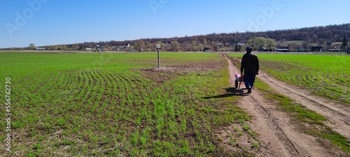 field in spring in the village