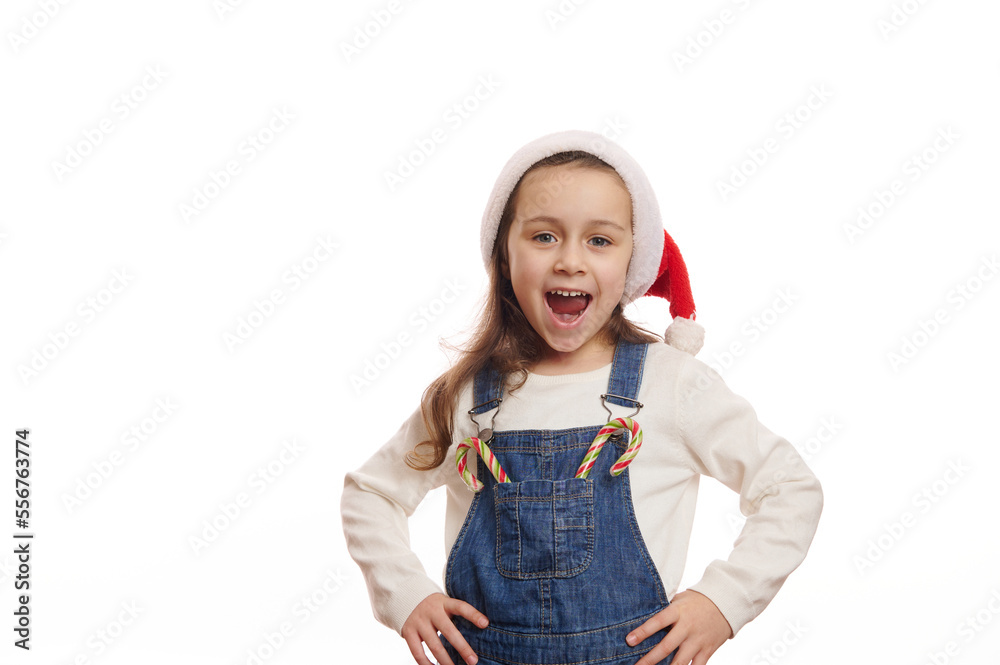 Mischievous overjoyed Caucasian little child girl in Santa hat and blue denim overalls, with candy canes smiling a cheerful toothy smile at camera, isolated on white background. Happy winter holidays