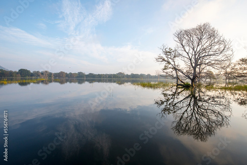 Dawn and trees on Hambegamuwa Lake, Sri Lanka; Hambegamuwa, Moneragala, Sri Lanka photo