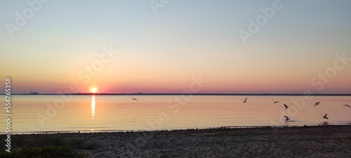 sunset on the bay in the Kaliningrad region