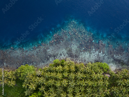 Φωτογραφία A palm tree-covered tropical island is fringed by a coral reef in the Solomon Islands