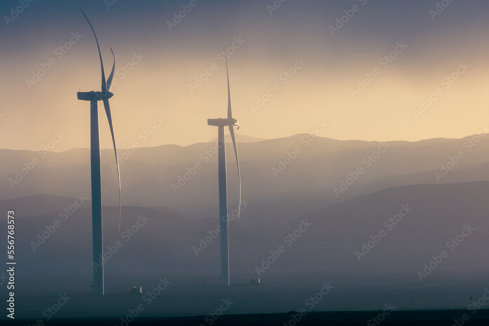 Obraz premium Wind generation towers in the sunlight during sunrise