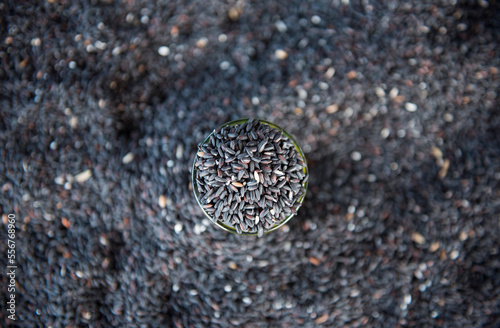 Black rice for sale at a street market in Maumere, Flores Island, Indonesia. photo