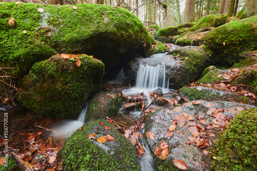 A stream flowing through the forest at Hollental Nature Reserve, Bavarian Forest; Bavaria, Germany photo