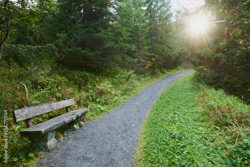 Bench beside the walking trail up to Mount Schmittenhohe, Zell am See, Kaprun, Salzburg, Austria photo