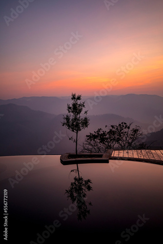 Prakriti Shakti Naturopathy Retreat with infinity pool and tree at dawn; Kochi, Kerala, India photo