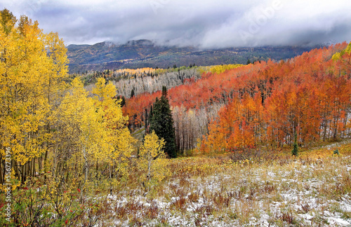 Beautiful autumn colours on a mountainous landscape, Medicine Bow–Routt National Forest, near Steamboat Springs, Colorado, USA; Colorado, United States of America photo