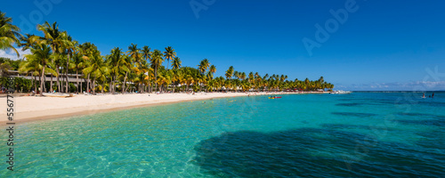 People enjoying the turquoise water of the Caribbean Sea with palm trees along the sandy shore of Caravelle Beach, Sainte-Anne, Grande-Terre; Guadeloupe, French West Indies photo