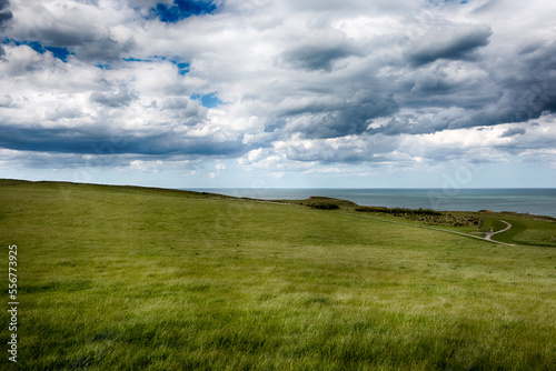 Thornwick Bay Coastline