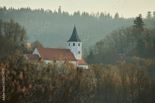 Sunrise above the Church of Tegernheim with bushes and bare trees in the morning light; Tegernheim, Bavaria, Germany photo