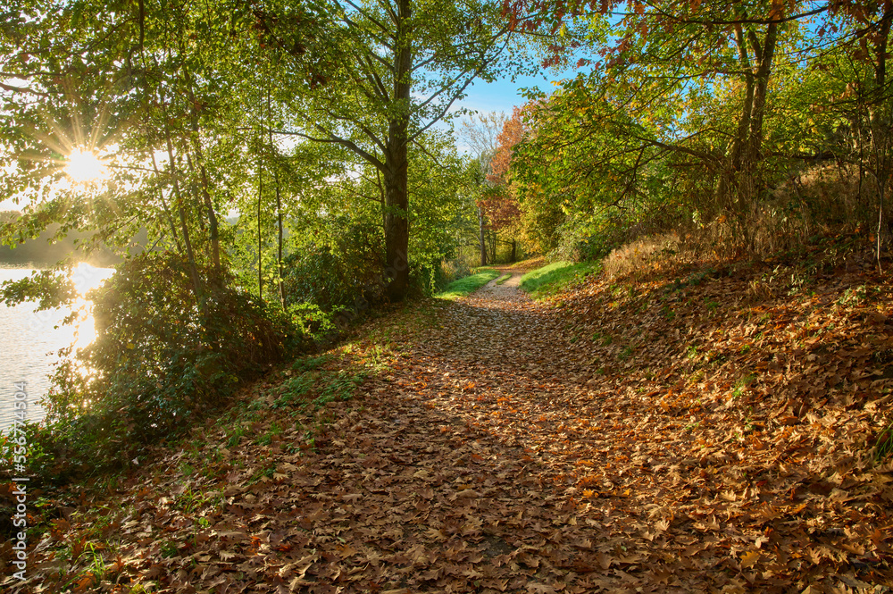 Footpath on autumn morning with lake; Niedernberg, Bavaria, Germany Footpath on autumn morning with lake; Niedernberg, Bavaria, Germany
