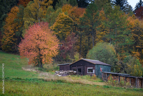Altes Holz Haus im Herbst Wald © Andy