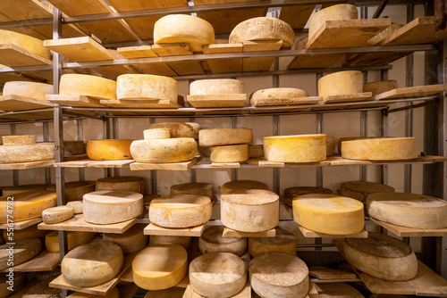 Fresh cheese wheels in a dairy storage room in Covasna County, Romania; Covasana, Transylvania, Romania