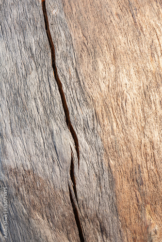 Close-up detail of weathered wood grain pattern in a spruce burl in Summer, Lower Yukon River; Mountain Village, Western Alaska, Alaska, United States of America