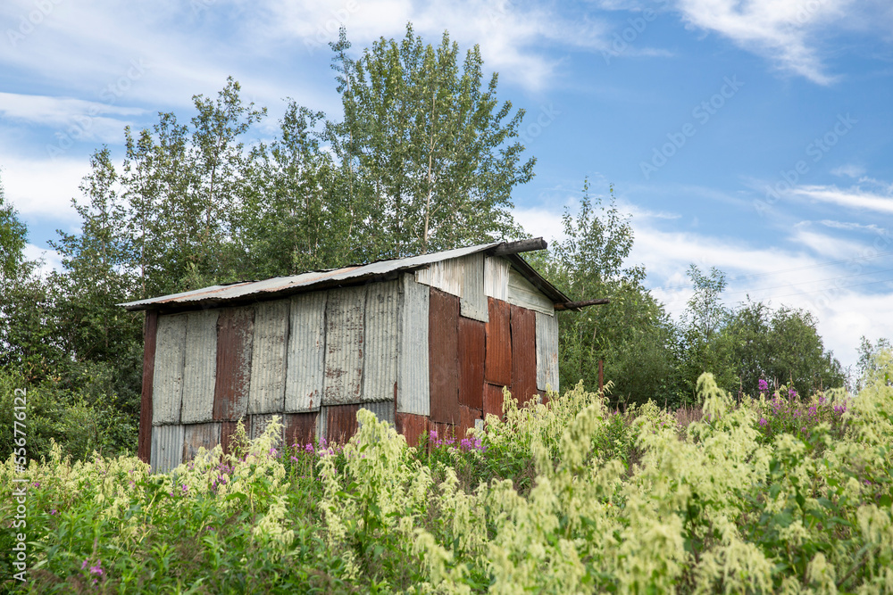 Native Alaskan custom shed made out of salvaged corrugated metal sheets in a field of wildflowers in summer; Ruby, Interior Alaska, Alaska, United States of America Native Alaskan custom shed made out of salvaged corrugated metal sheets in a field of wildflowers in summer; Ruby, Interior Alaska, Alaska, United States of America