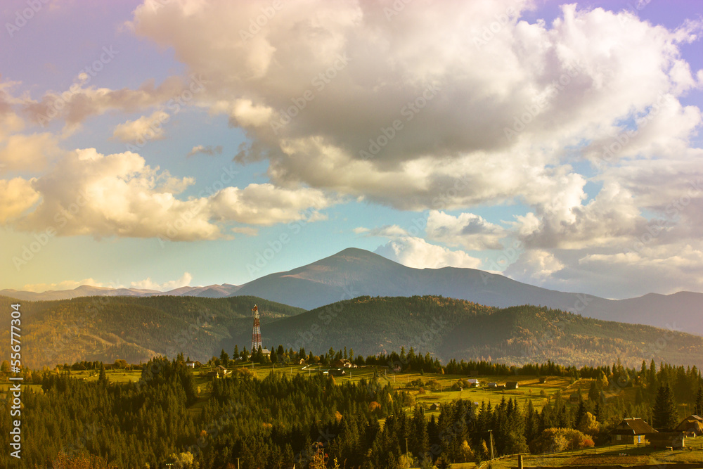 Fototapeta premium Beautiful mountain scenery with blue sky, white low clouds in a sky at sunny day in spring, summer or fall. A mountain top on a horizon and green coniferous forest. Ukrainian Carpathians landscape.