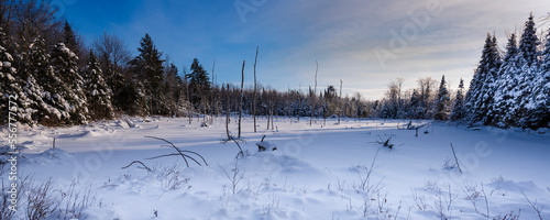 Winter landscape in the Laurentides; Quebec, Canada