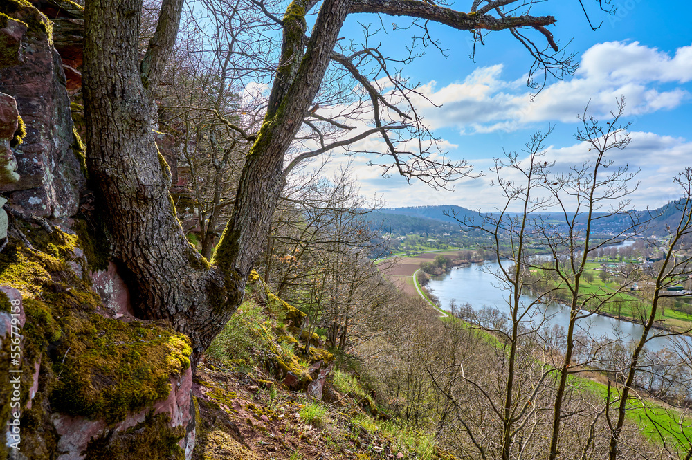 River Main in springtime flowing through the valley and town of Kreuzwertheim; Kreuzwertheim, Spessart, Bavaria, Germany River Main in springtime flowing through the valley and town of Kreuzwertheim; Kreuzwertheim, Spessart, Bavaria, Germany
