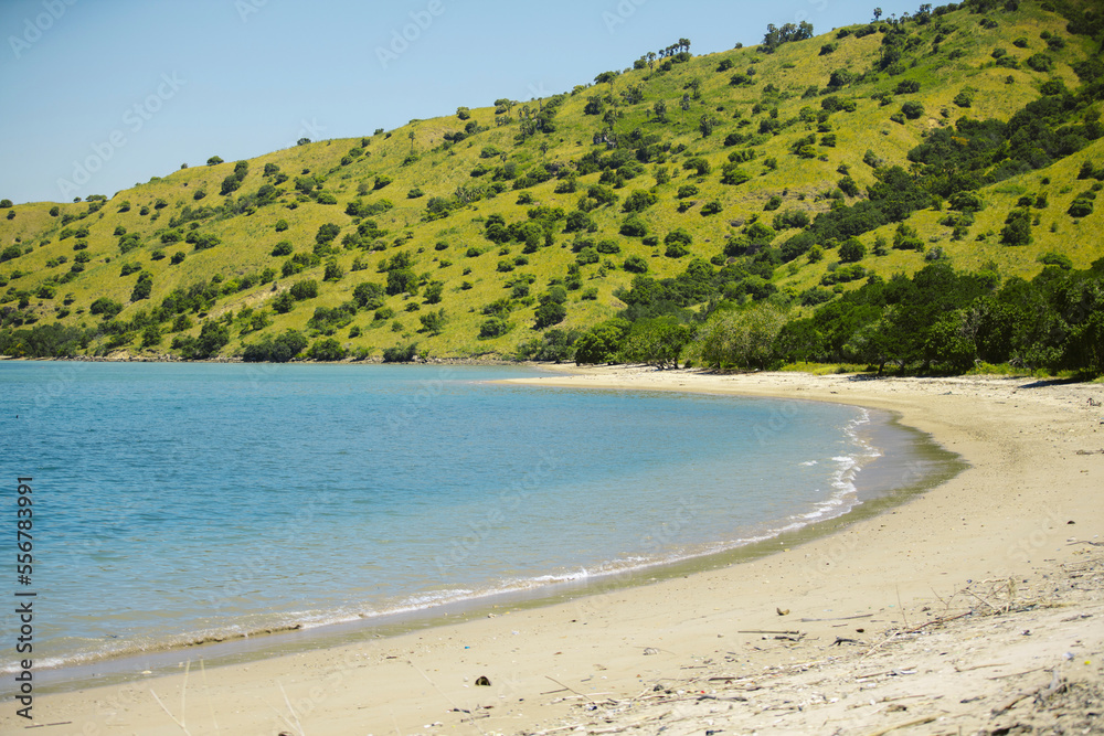 White sand beach along green hillsides and blue water, Komodo National Park; East Nusa Tenggara, Indonesia White sand beach along green hillsides and blue water, Komodo National Park; East Nusa Tenggara, Indonesia