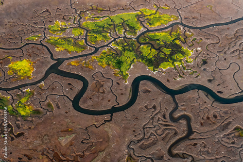 Aerial view of snaking rivers and wetlands on the California coastline; Carpinteria, California, United States of America
