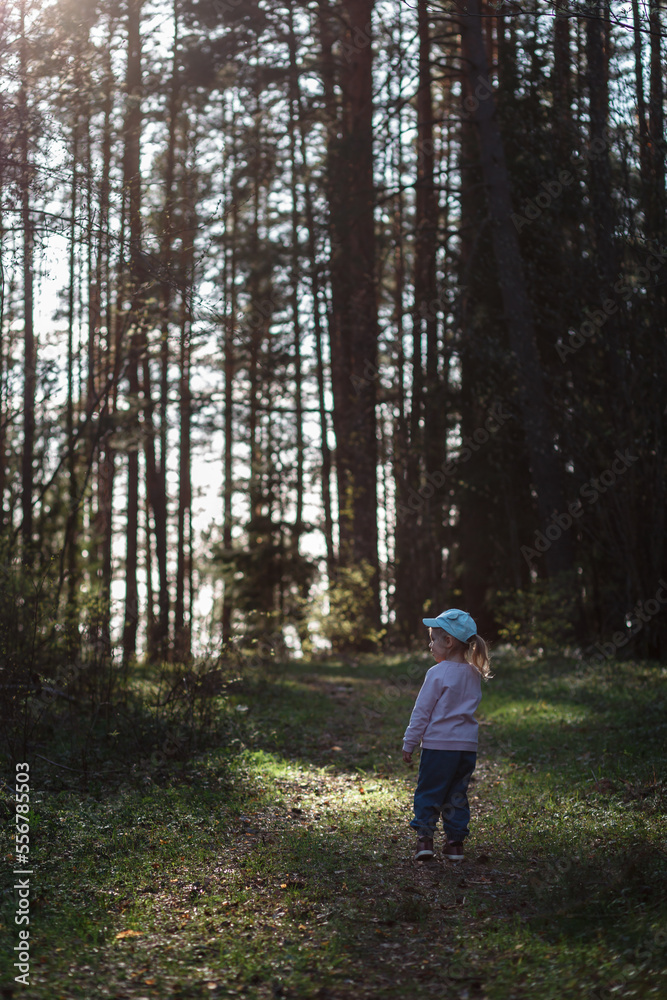 A three-year-old girl walks through a pine forest in the spring on a sunny day. Vertical orientation. A three-year-old girl walks through a pine forest in the spring on a sunny day. Vertical orientation.