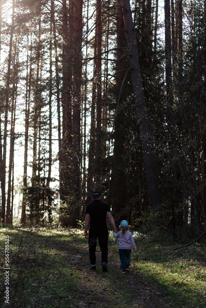 A three-year-old girl and her dad are walking in a pine forest in the spring on a sunny day. A three-year-old girl and her dad are walking in a pine forest in the spring on a sunny day.