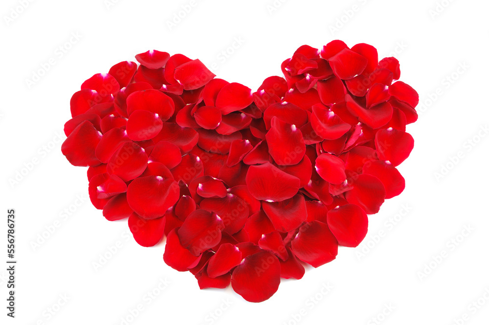 heart shape by red rose petals isolated on white background heart shape by red rose petals isolated on white background