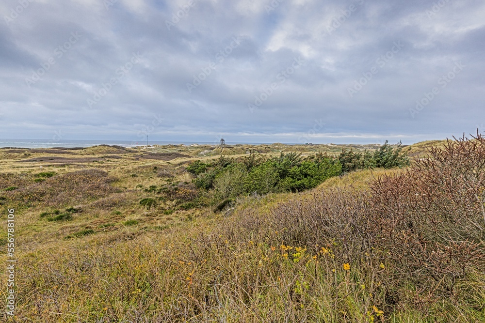 Panoramic view over the beach and dunes of the Danish coastal resort Balavand during the day Panoramic view over the beach and dunes of the Danish coastal resort Balavand during the day