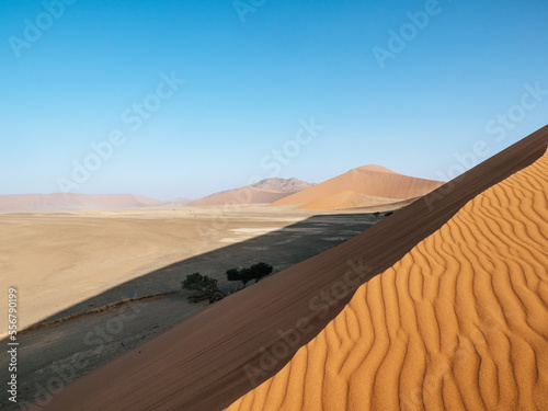 View from Dune 45, Sossusvlei, Namibia