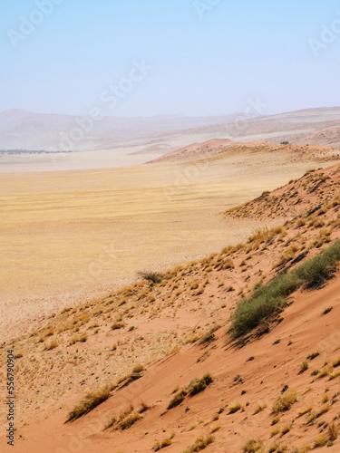 View from Elim Dunes  Namib Naukluft park  Namibia