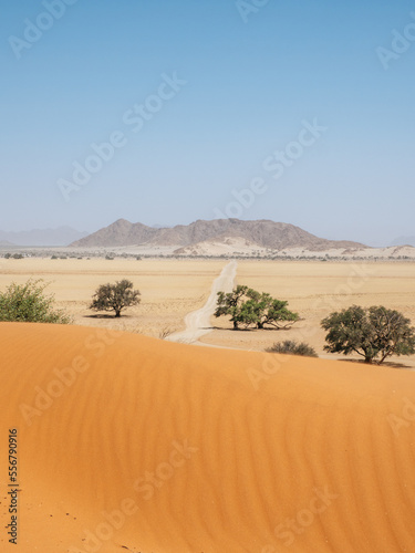 View from Elim Dunes  Namib Naukluft park  Namibia