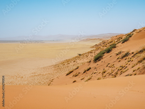 View from Elim Dunes  Namib Naukluft park  Namibia