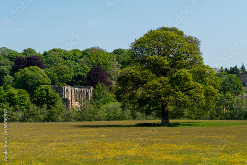 Easby Abbey hidden among the trees, a ruined Premonstratensian abbey on the eastern bank of the River Swale; Richmond, Richmondshire, England photo
