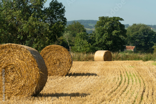 Close-up of large hay rolls in a field on a farm in Richmond; Richmond, Richmondshire, England photo