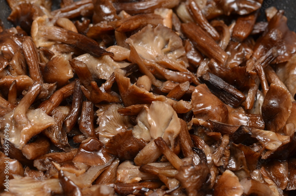 stewed mushrooms in a pan close-up stewed mushrooms in a pan close-up