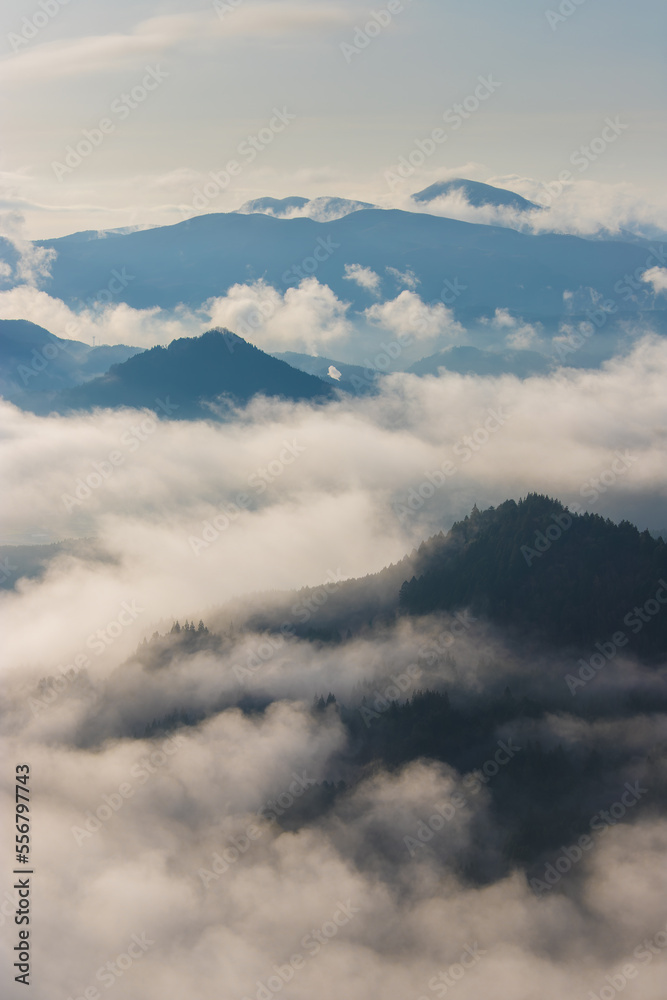 大分県玖珠町の伐株山の雲海