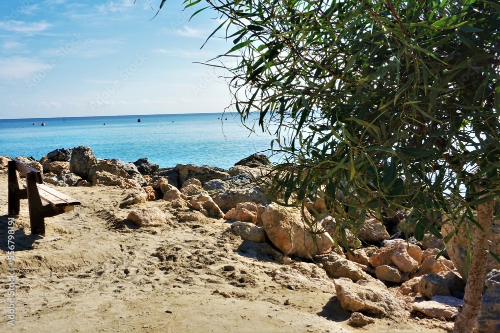 Beach with palm trees, Konnos Beach, Cyprus, 