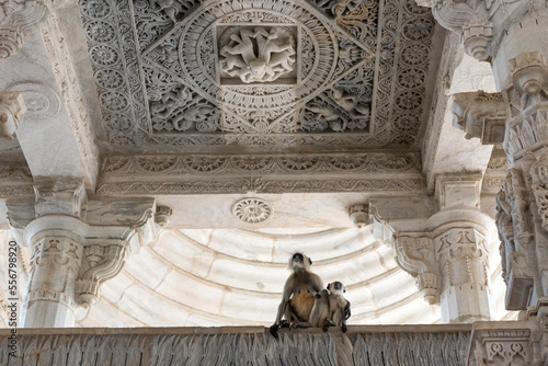 Monkeys resting inside on an interior balcony below an intricately carved ceiling, at the Jain Temple at Ranakpur; Ranakpur, Rajasthan, India photo