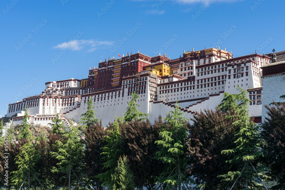 View of the Potala Palace, once the Winter Palace of the Dalai Lamas, with a bright blue sky and trees in the foreground; Lhasa, Tibetan Autonomous Region, Tibet View of the Potala Palace, once the Winter Palace of the Dalai Lamas, with a bright blue sky and trees in the foreground; Lhasa, Tibetan Autonomous Region, Tibet