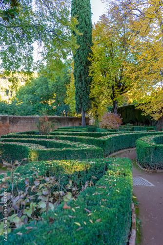 \ Walking in green gardens of Alhambra in Granada, Spain on November 26, 2022