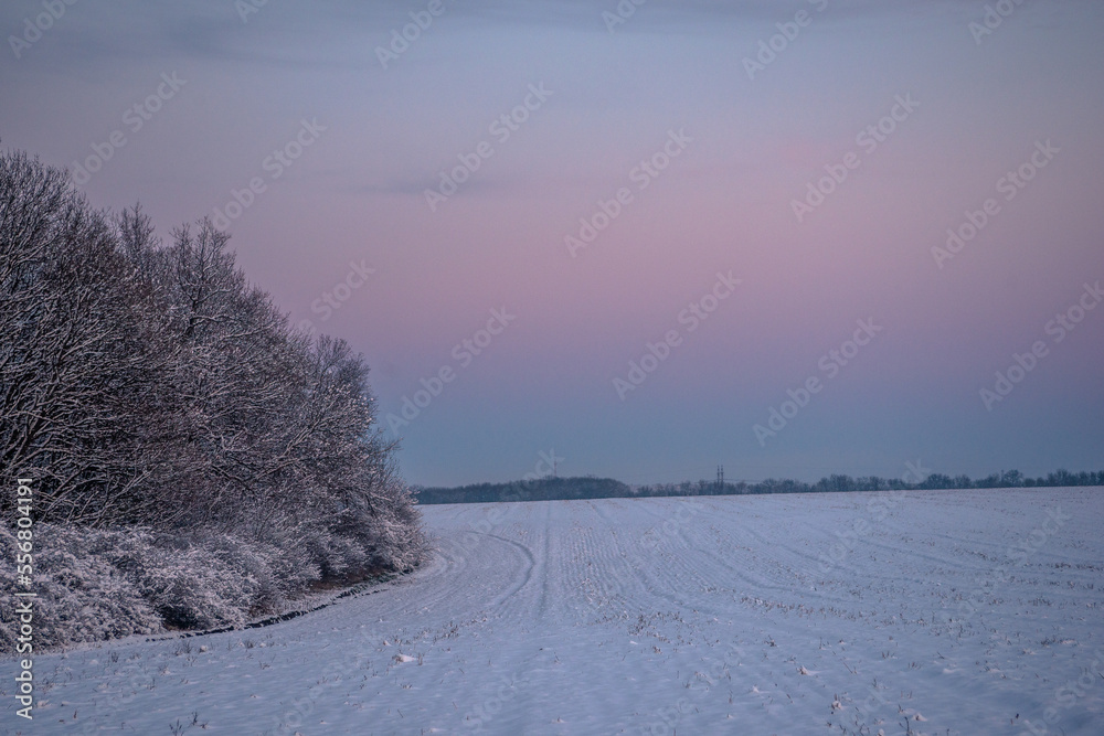 sunrise in the snow forest in the night . Night landscape. Nightsky and clouds . Stars in the sky . Lights of the city  . Evening forest  . Landscapes of Ukraine . Night and morning time 