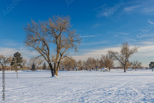 winter landscape with trees © J. Kuchera
