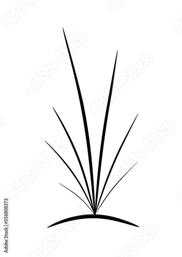 stilisierte darstellung einer pflanze gras