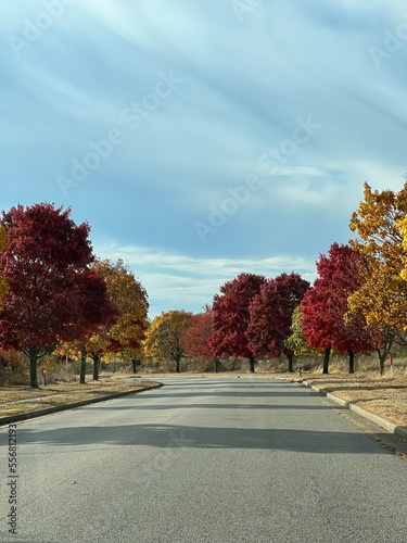 autumn in the city