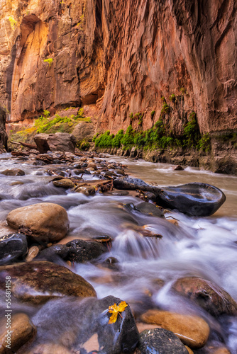 River Rounded Stones and Red Cliffs