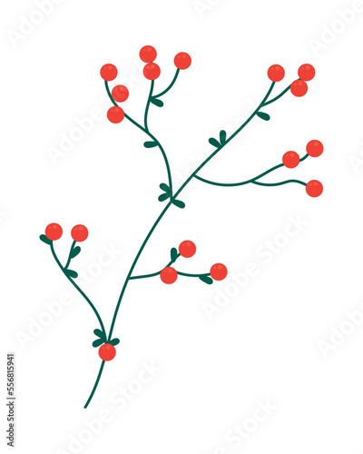 berries branch icon