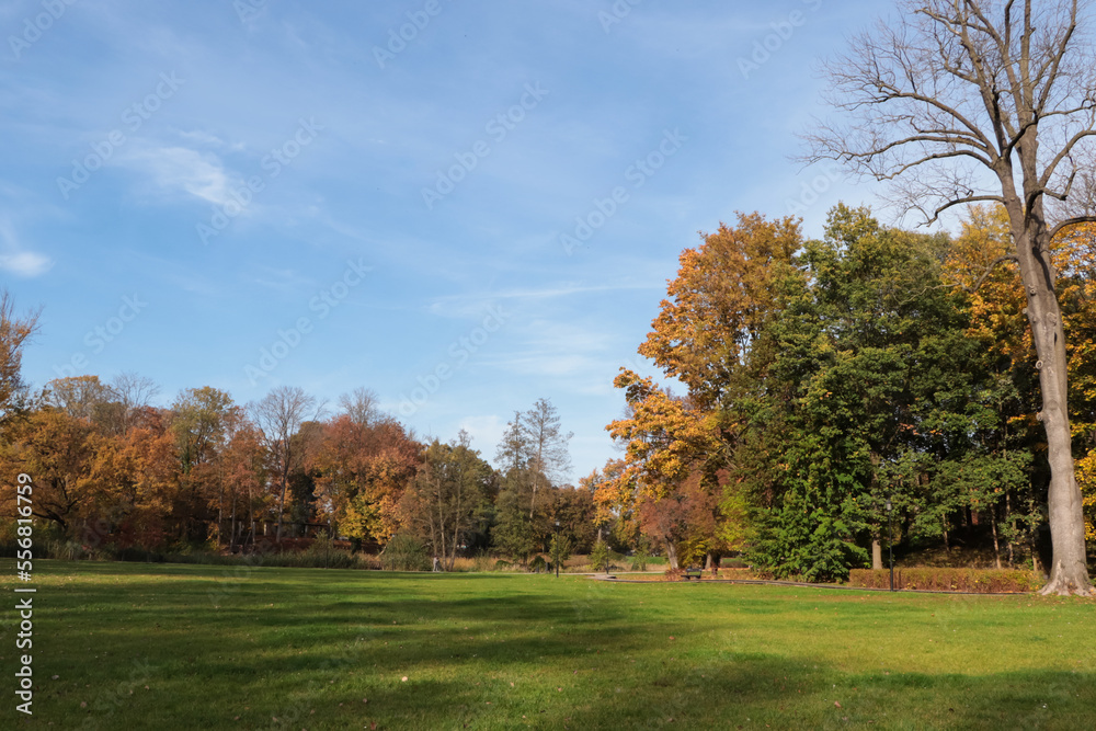 Picturesque view of park with beautiful trees and green grass on sunny day. Autumn season