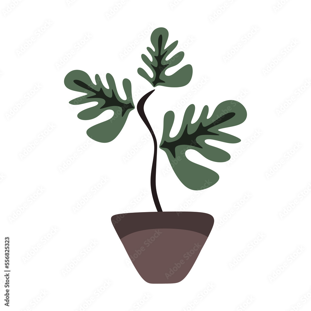 Obraz premium vector illustration, cute leaf plant on pot, flat cartoon design style.