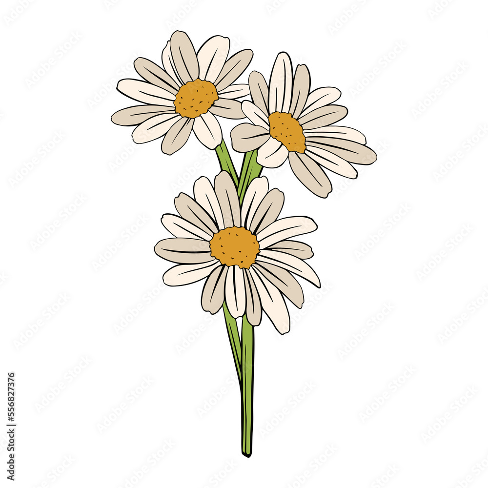 sunflower white leaf sunflower white leaf