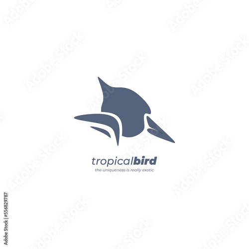 Vector illustration, tropical bird's head logo in gray with text underneath, irregular design style.